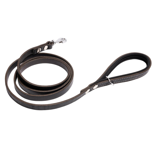 Filbert Genuine Leather Dog Leash Strong Leather Leash for Medium & Small Dogs Leather Leashes for Large Breed Dogs 5.3 ft Leather Leash Training Dog Best Leather Leash Black +4 Colors